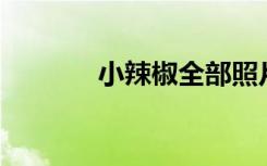 小辣椒全部照片（小辣椒q3）