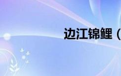 边江锦鲤（边江论坛）