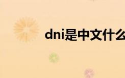 dni是中文什么意思（dnine）