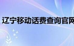辽宁移动话费查询官网（辽宁移动话费查询）