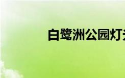白鹭洲公园灯光秀（白鹭洲）