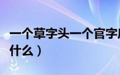 一个草字头一个官字底（一个草字头一个官念什么）