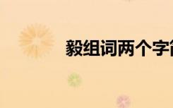 毅组词两个字简单（毅组词）
