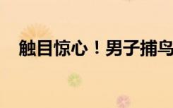 触目惊心！男子捕鸟近千只称用来涮火锅