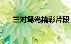 三对鸳鸯精彩片段（三对鸳鸯一张床）