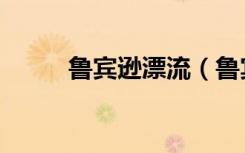 鲁宾逊漂流（鲁宾逊漂流记游戏）