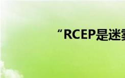 “RCEP是迷雾中的一束光”