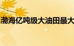渤海亿吨级大油田最大区块海上安装全部完成
