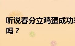 听说春分立鸡蛋成功率高，今天你立蛋成功了吗？