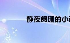 静夜阑珊的小说（静夜阑珊）