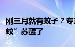 刚三月就有蚊子？专家：天气暖得早，“越冬蚊”苏醒了