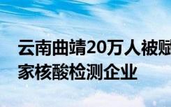云南曲靖20万人被赋黄码 前一天当地新开一家核酸检测企业