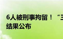 6人被刑事拘留！“三亚租车被坑”事件处理结果公布