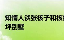知情人谈张核子和核酸生意：深圳坐拥带停机坪别墅