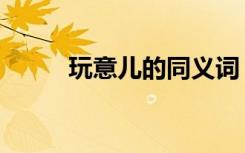 玩意儿的同义词（玩意儿的拼音）