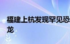 福建上杭发现罕见恐龙足迹化石，涉及6种恐龙