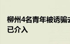 柳州4名青年被诱骗去缅甸后失联，相关部门已介入