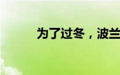 为了过冬，波兰人开始四处挖煤