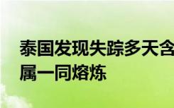 泰国发现失踪多天含放射物部件 已与其他金属一同熔炼