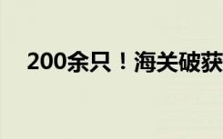 200余只！海关破获走私“异宠”进境案