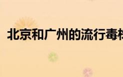 北京和广州的流行毒株有啥不同？专家解读