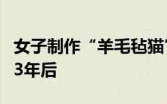 女子制作“羊毛毡猫”爆火网络，订单已排到3年后