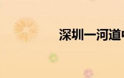 深圳一河道中惊现鳄鱼！