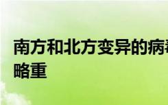南方和北方变异的病毒株略有不同，北方病情略重