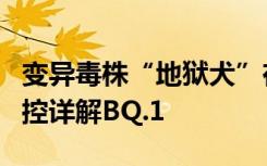变异毒株“地狱犬”在日本“杀疯了”？中疾控详解BQ.1