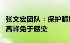 张文宏团队：保护脆弱人群，争取第一波流行高峰免于感染