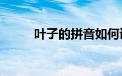 叶子的拼音如何读（叶子的拼音）