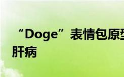 “Doge”表情包原型柴犬确诊患有白血病和肝病