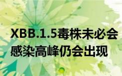 XBB.1.5毒株未必会“踩到点上”，但第二波感染高峰仍会出现