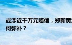 或涉近千万元赔偿，郑新黄河大桥连环相撞事故车主损失如何弥补？