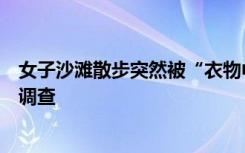 女子沙滩散步突然被“衣物中”烟花炸死，警方视做杀人案调查