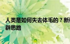 人类是如何失去体毛的？新研究为治疗谢顶和化疗后脱发开辟思路