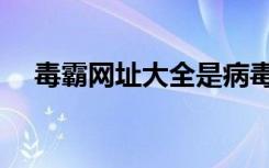 毒霸网址大全是病毒吗（毒霸网址大全）