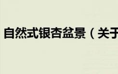 自然式银杏盆景（关于自然式银杏盆景介绍）