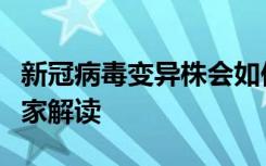 新冠病毒变异株会如何进化？多位国内病毒学家解读