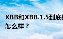 XBB和XBB.1.5到底是什么？在国外传播情况怎么样？