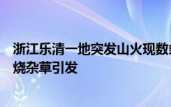 浙江乐清一地突发山火现数条火带，官方：已扑灭，系村民烧杂草引发