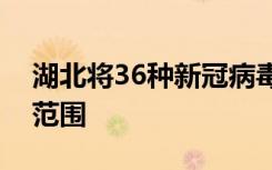 湖北将36种新冠病毒用药临时纳入医保报销范围