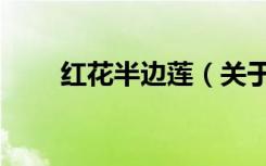 红花半边莲（关于红花半边莲介绍）