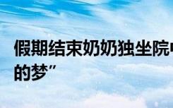 假期结束奶奶独坐院中，“像是做了一场热闹的梦”