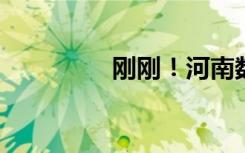刚刚！河南数据集团揭牌