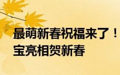 最萌新春祝福来了！熊猫中心2022级熊猫宝宝亮相贺新春