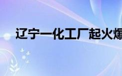 辽宁一化工厂起火爆炸，官方通报原因！