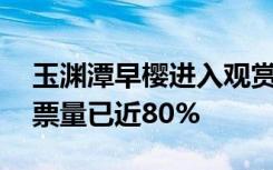 玉渊潭早樱进入观赏期，今日16时前网上购票量已近80%