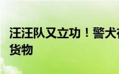 汪汪队又立功！警犬在木炭中嗅出毛肚等走私货物