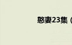 憨妻23集（憨妻当家）